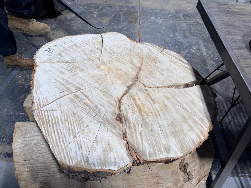 Cottonwood cookie laid flat on a steel base, pale face filling the frame with radiating checks and a bark edge all the way round